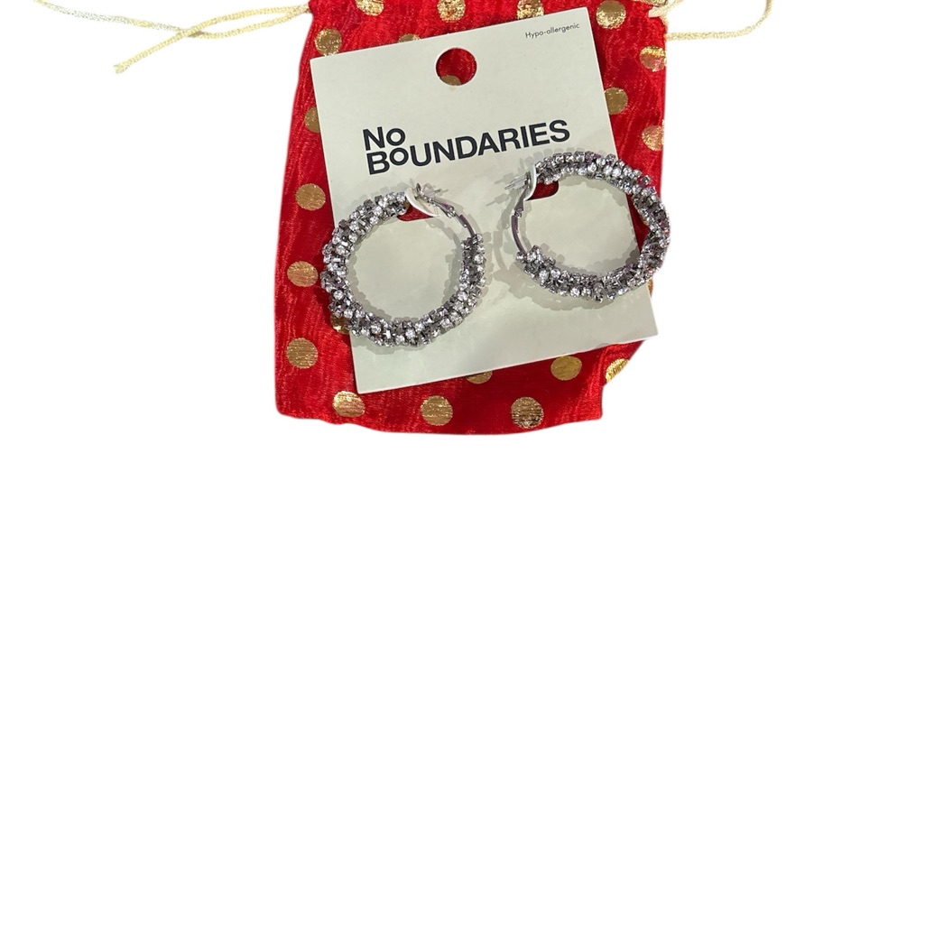 No Boundaries Shimmering Silver Earrings 20$